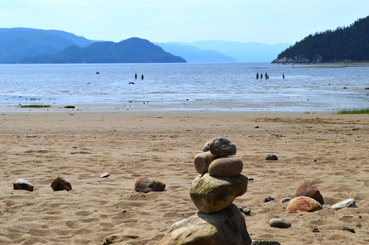 Parc Marin Du Saguenay Saint Laurent Tourisme Saguenay Lac Saint Jean