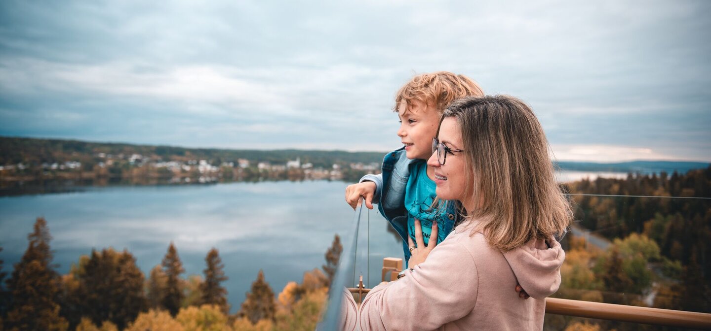 Image de maman et son garçon regardant lac à l'horizon