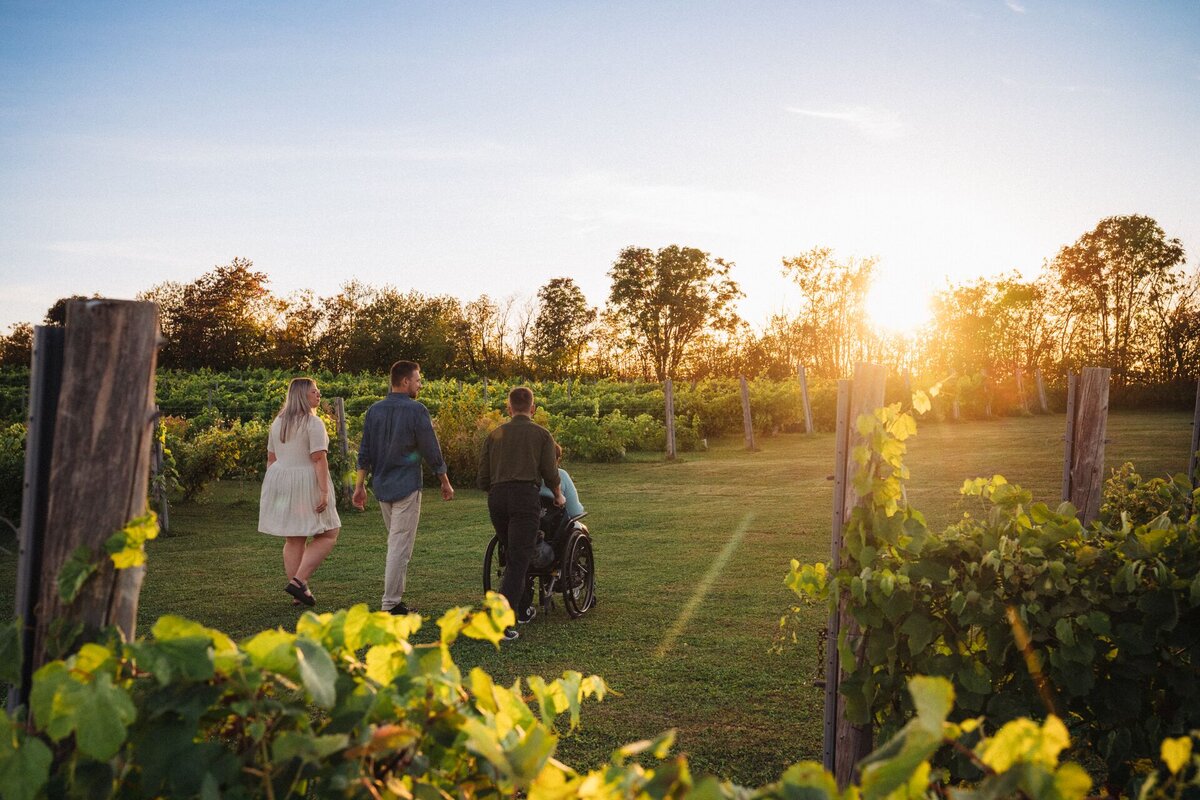 A group walking through a vineyard at sunset