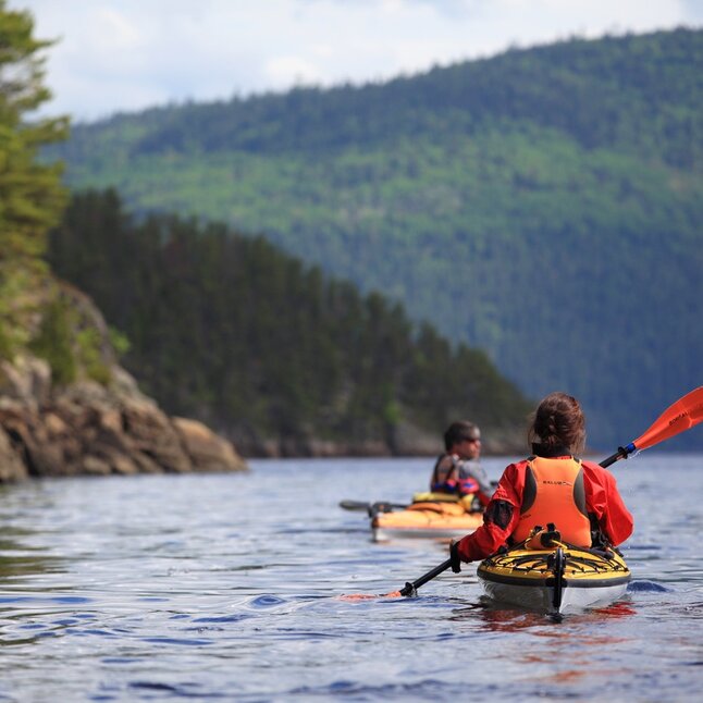 Sea kayakers on the fjord