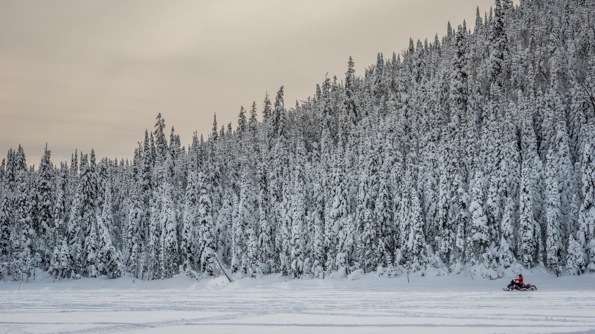 Magnifique paysage enneigé avec une montagne en arrière plan et un motoneigiste