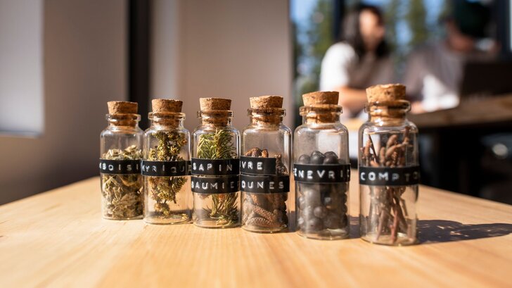 Botaniques boréales utilisées par la Distillerie du Fjord