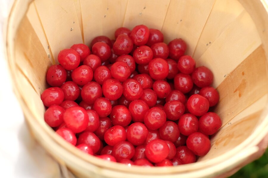 Panier de cerises