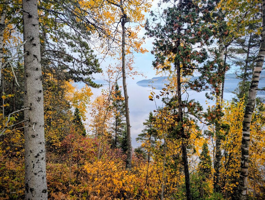 Vue automnale sur le fjord du Saguenay depuis le Cap Jaseux