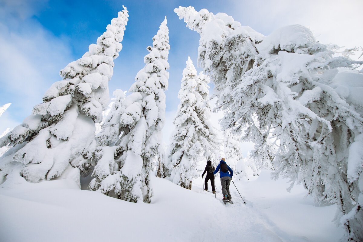 National parks | Tourisme Saguenay-Lac-Saint-Jean