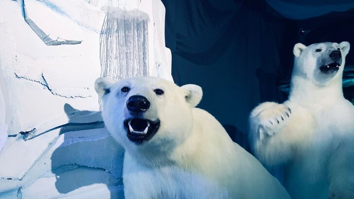 Ours polaires dans un décor arctique immersif