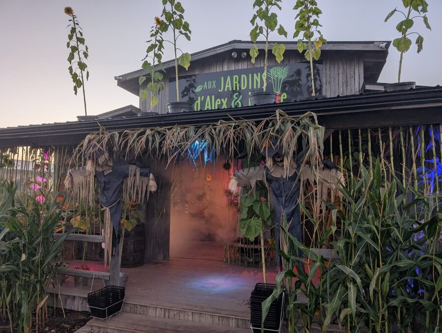 Kiosques de fruits et légumes décorés pour Halloween