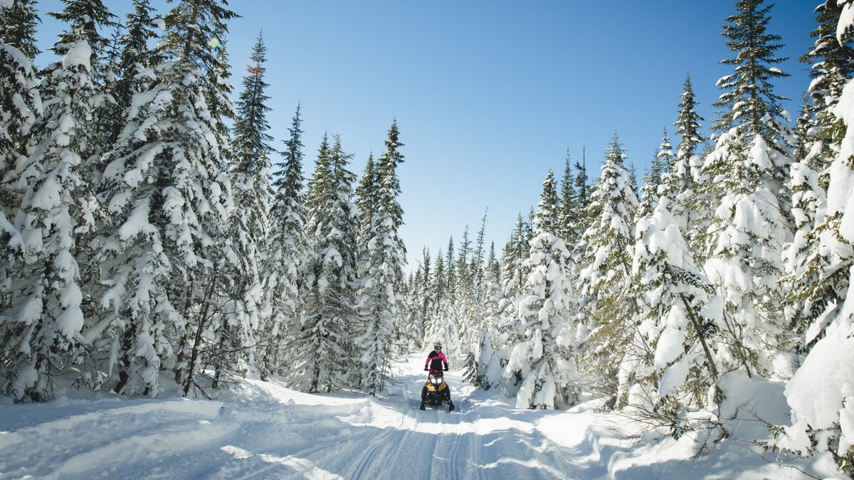 Motoneigiste dans un sentier enneigée en pleine forêt par une belle journée ensoleilé