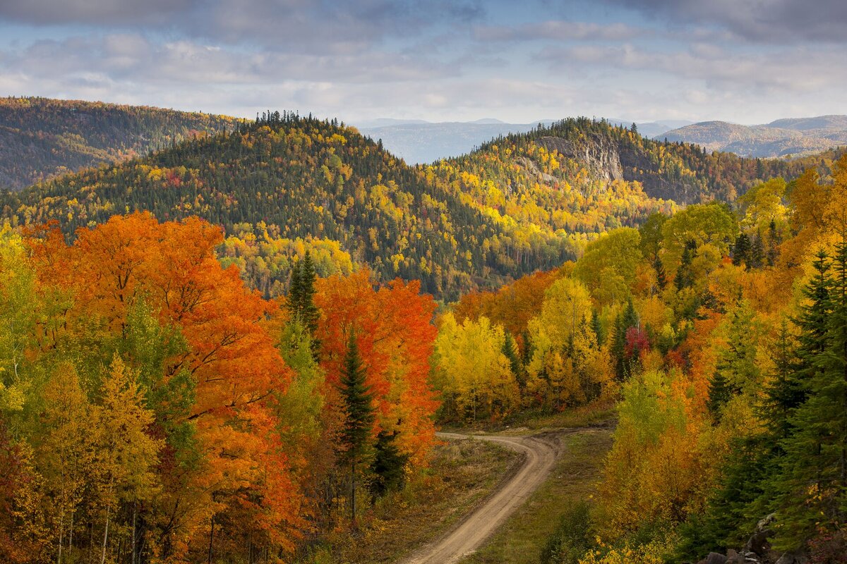 Route du Fjord en automne qui traverse le Parc national du Fjord-du-Saguenay