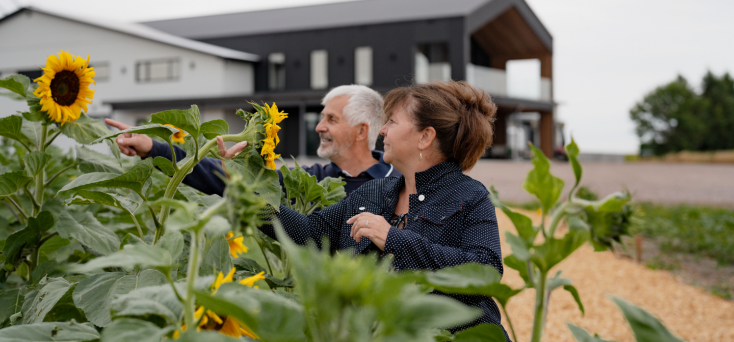 Personnes visitant un jardin de tournesols à la ferme Tournevent