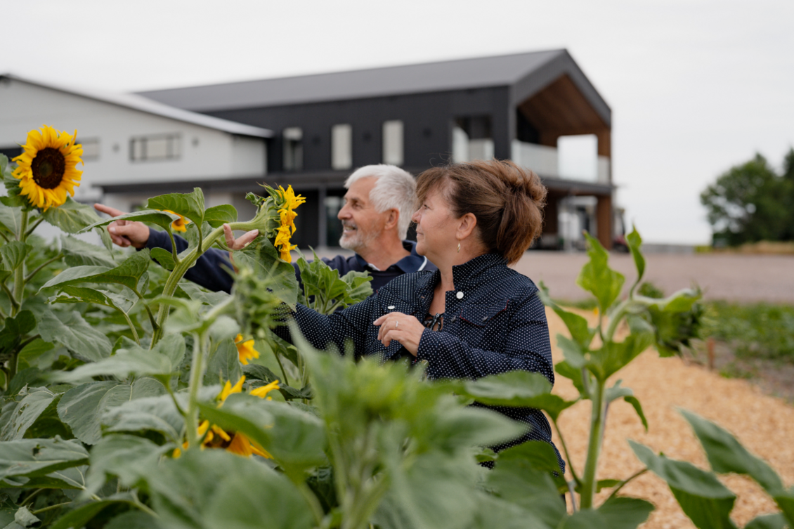 Personnes visitant un jardin de tournesols à la ferme Tournevent