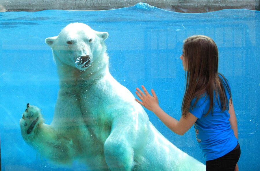 Jeune fille devant un ours polaire au Zoo de Saint-Félicien