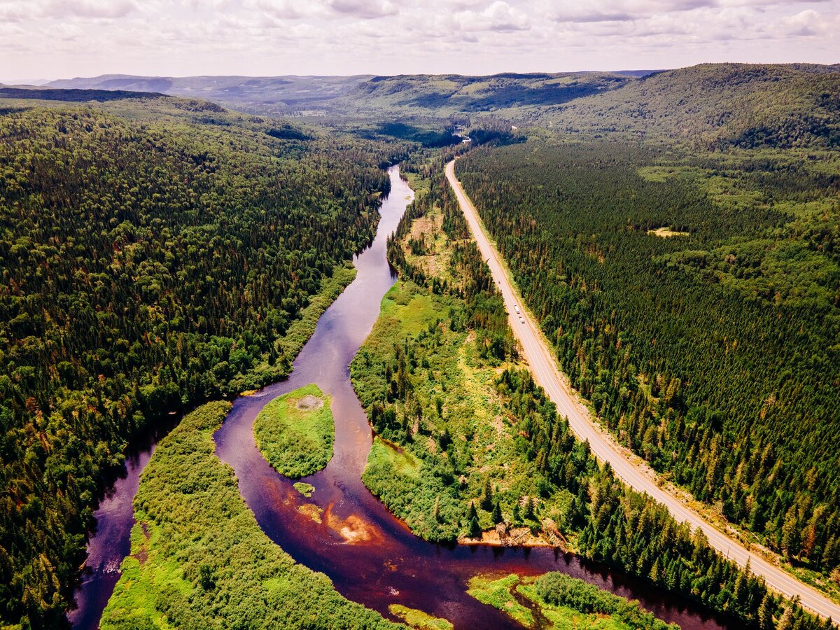 Route du Fjord entourée de forêt et qui longe une rivière