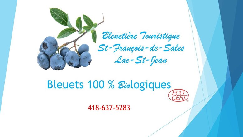 Bleuetière touristique Saint-François-de-Sales - Coopérative de solidarité