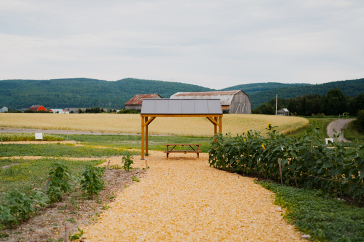 Allée avec abri et table à la ferme Tournevent