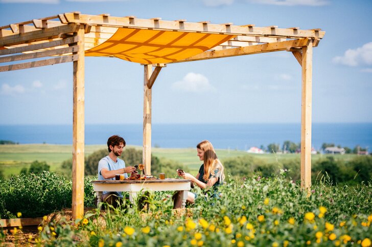 Repas champêtre avec vue sur le lac Saint-Jean
